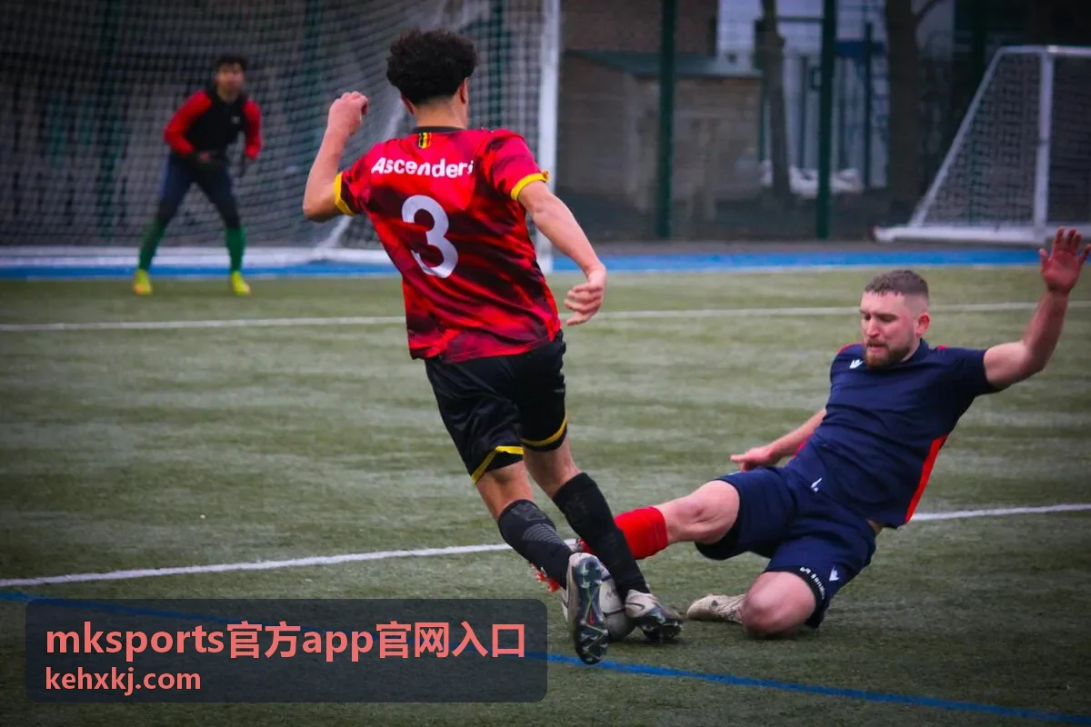 mksports官方app官网入口的访问通道示意界面