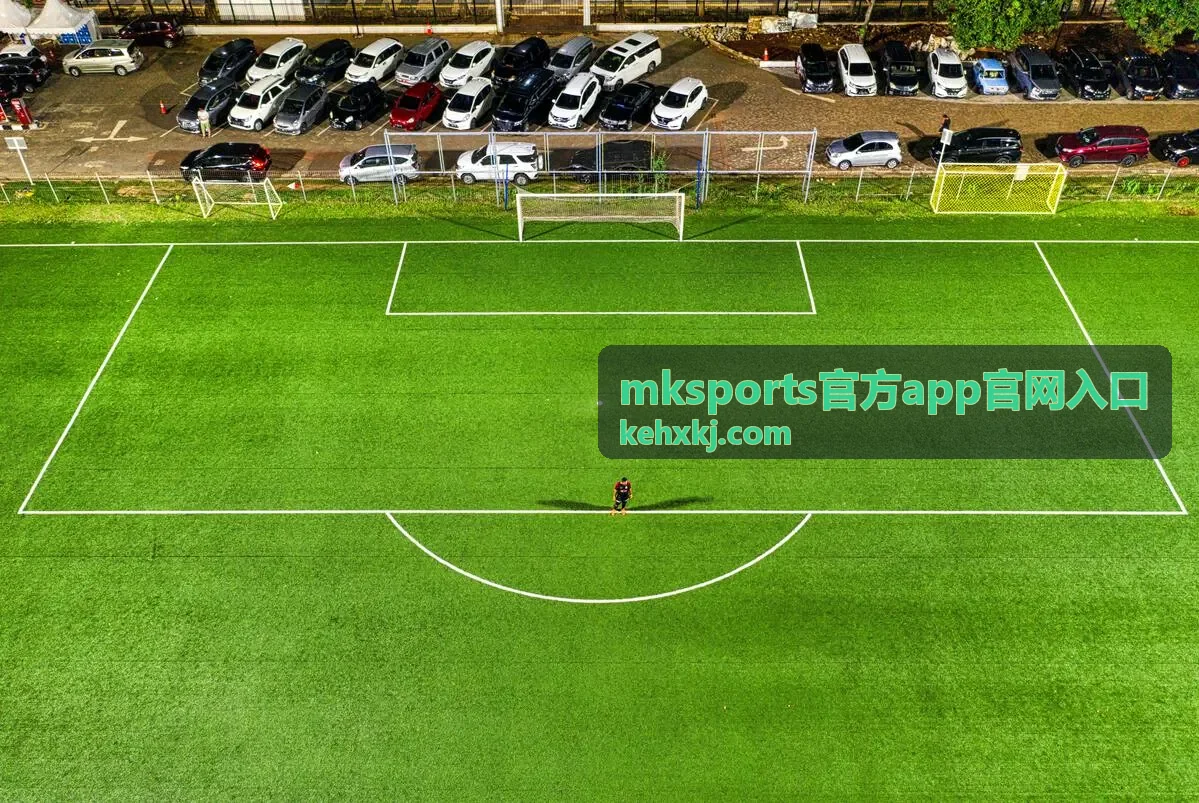mksports官方app官网入口安装前的设备与网络条件检查示意