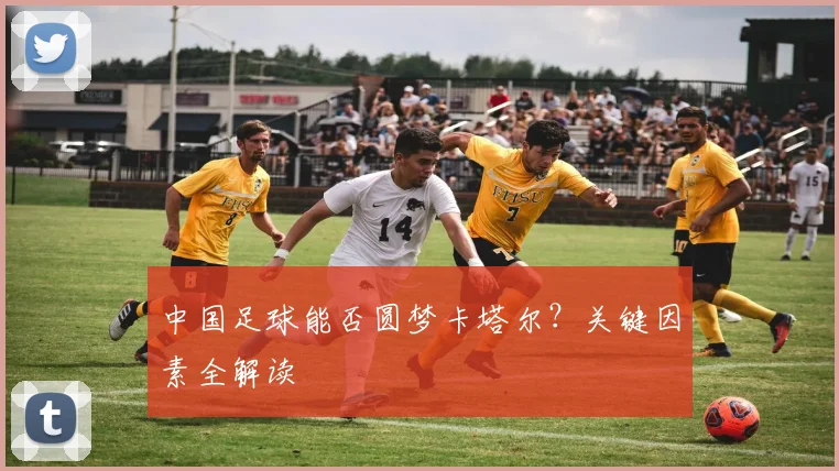 中国足球能否圆梦卡塔尔？关键因素全解读