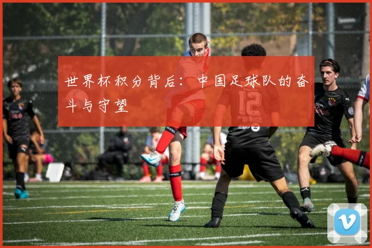 世界杯积分背后：中国足球队的奋斗与守望