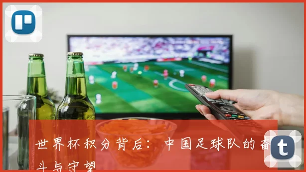 世界杯积分背后：中国足球队的奋斗与守望